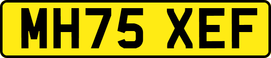 MH75XEF