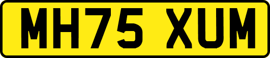 MH75XUM