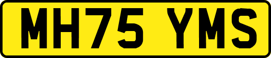 MH75YMS