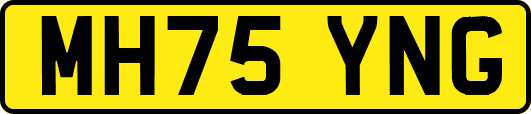 MH75YNG