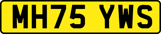 MH75YWS
