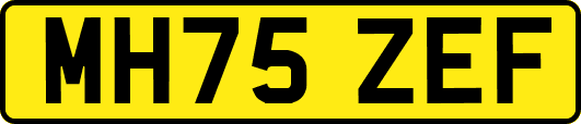 MH75ZEF