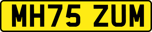 MH75ZUM