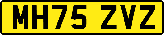 MH75ZVZ