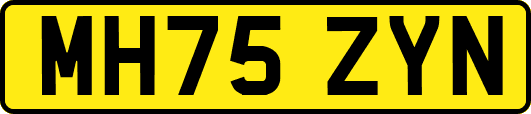 MH75ZYN