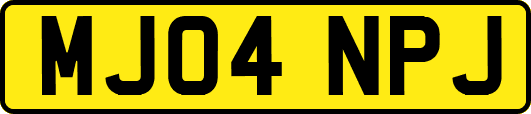 MJ04NPJ