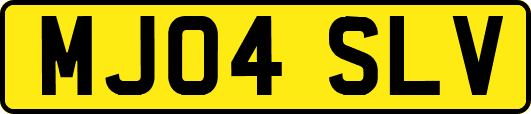MJ04SLV