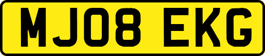 MJ08EKG