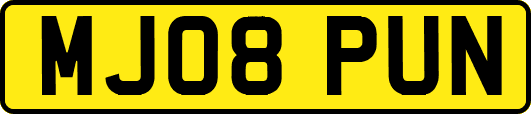 MJ08PUN
