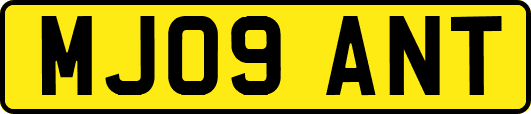 MJ09ANT