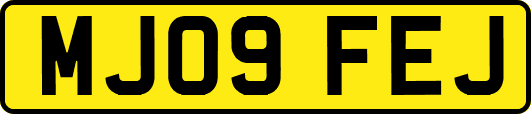 MJ09FEJ