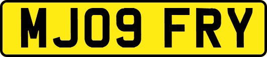 MJ09FRY