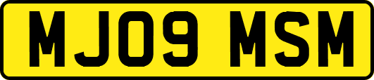 MJ09MSM