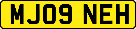 MJ09NEH