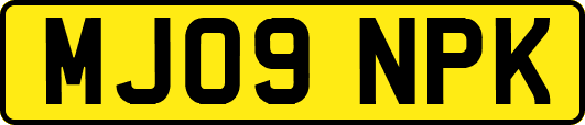 MJ09NPK