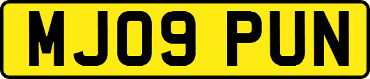 MJ09PUN