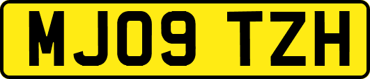 MJ09TZH