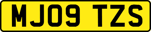 MJ09TZS