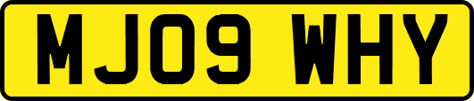 MJ09WHY