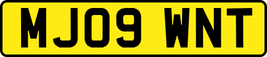 MJ09WNT