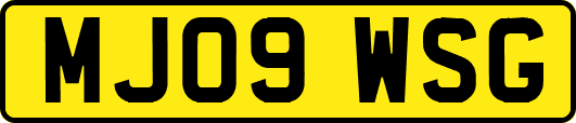 MJ09WSG
