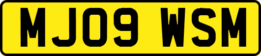 MJ09WSM