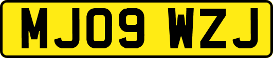 MJ09WZJ