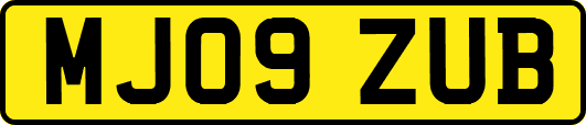 MJ09ZUB