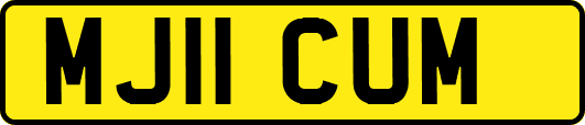 MJ11CUM