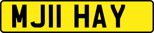MJ11HAY