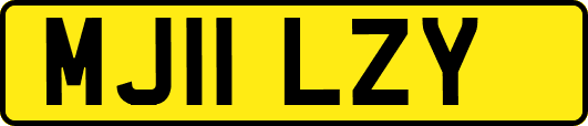 MJ11LZY