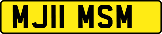 MJ11MSM