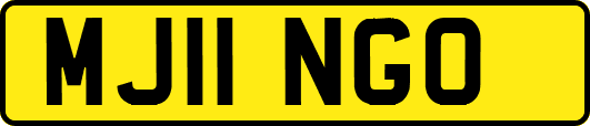 MJ11NGO