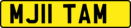 MJ11TAM