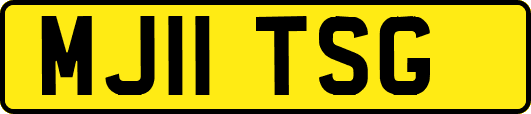 MJ11TSG