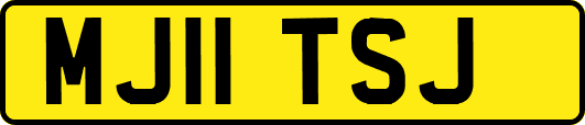 MJ11TSJ