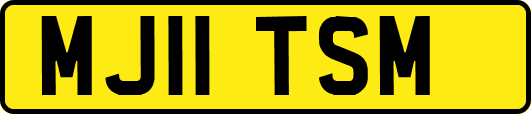 MJ11TSM
