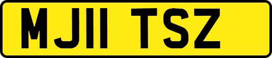 MJ11TSZ
