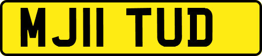 MJ11TUD