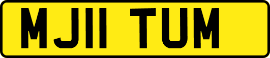 MJ11TUM