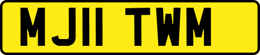 MJ11TWM