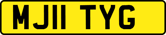MJ11TYG