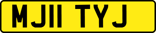 MJ11TYJ