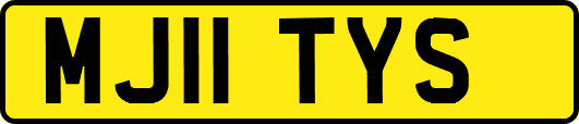 MJ11TYS