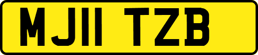 MJ11TZB