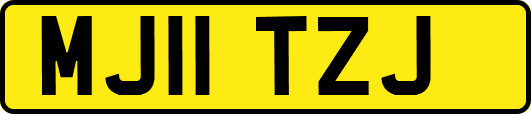 MJ11TZJ