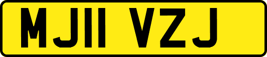 MJ11VZJ