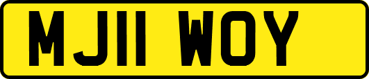 MJ11WOY