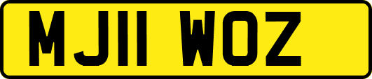 MJ11WOZ