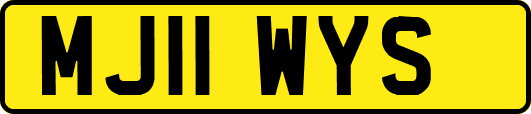 MJ11WYS